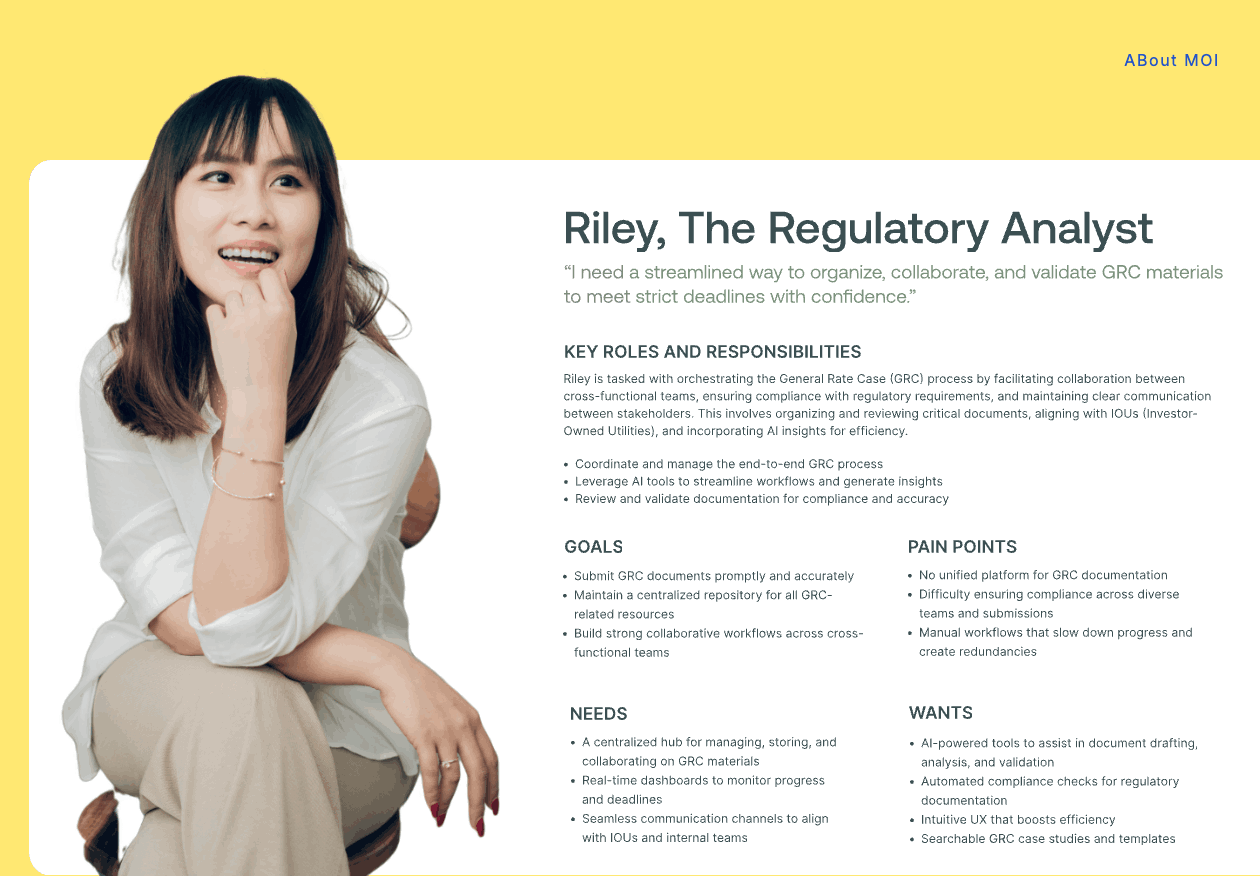 Riley, The Regulatory Analyst persona